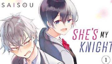 she-s-my-knight-manga-review-112110-1713272010415