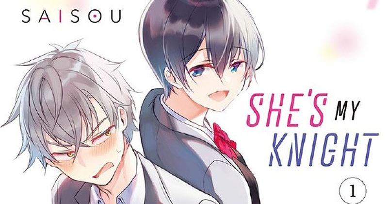 she-s-my-knight-manga-review-112110-1713272010415